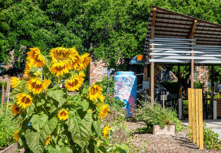 Community garden green space in a Charleston neighborhood